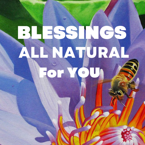 Blessings All Natural (Jamaica Retail) logo