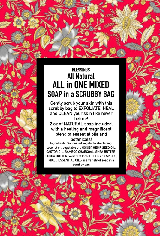 All in One Soap in a Scrubby Bag